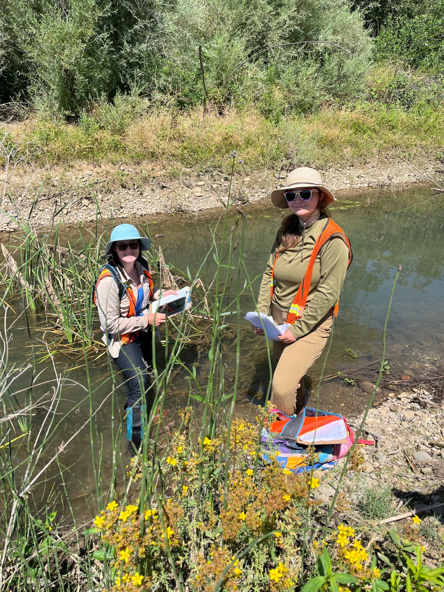 Hallwood Side Channel and Floodplain Restoration Project • SYRCL
