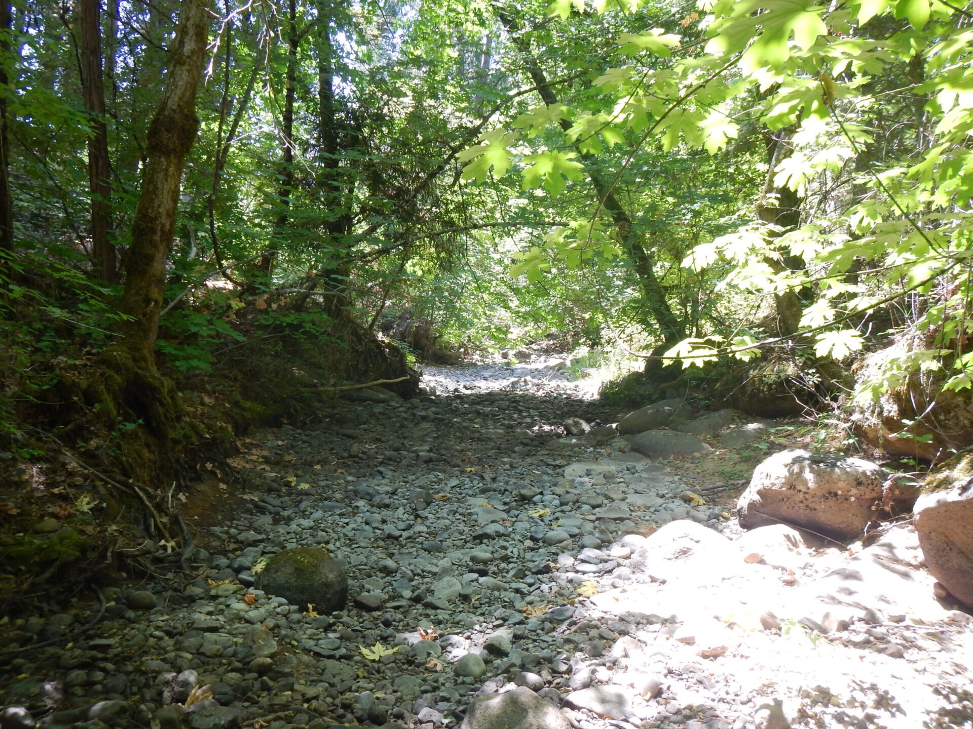 Dry channel of Rock Creek above Lake Vera in July 2014.