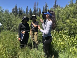 National Environmental Education Foundation Grant Helps Engage Local Students in Meadow Restoration