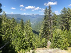 Update: North Yuba Forest Partnership to Receive Funding for Forest Restoration