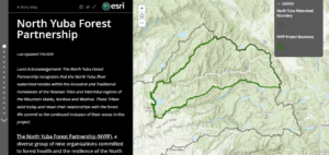 Interactive Story Map Details Forest Restoration Work in the North Yuba River Watershed