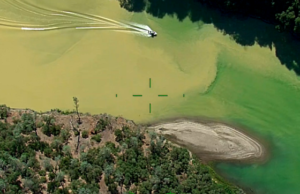 Yellow Sediment Plume Affects River Cleanup – UPDATE