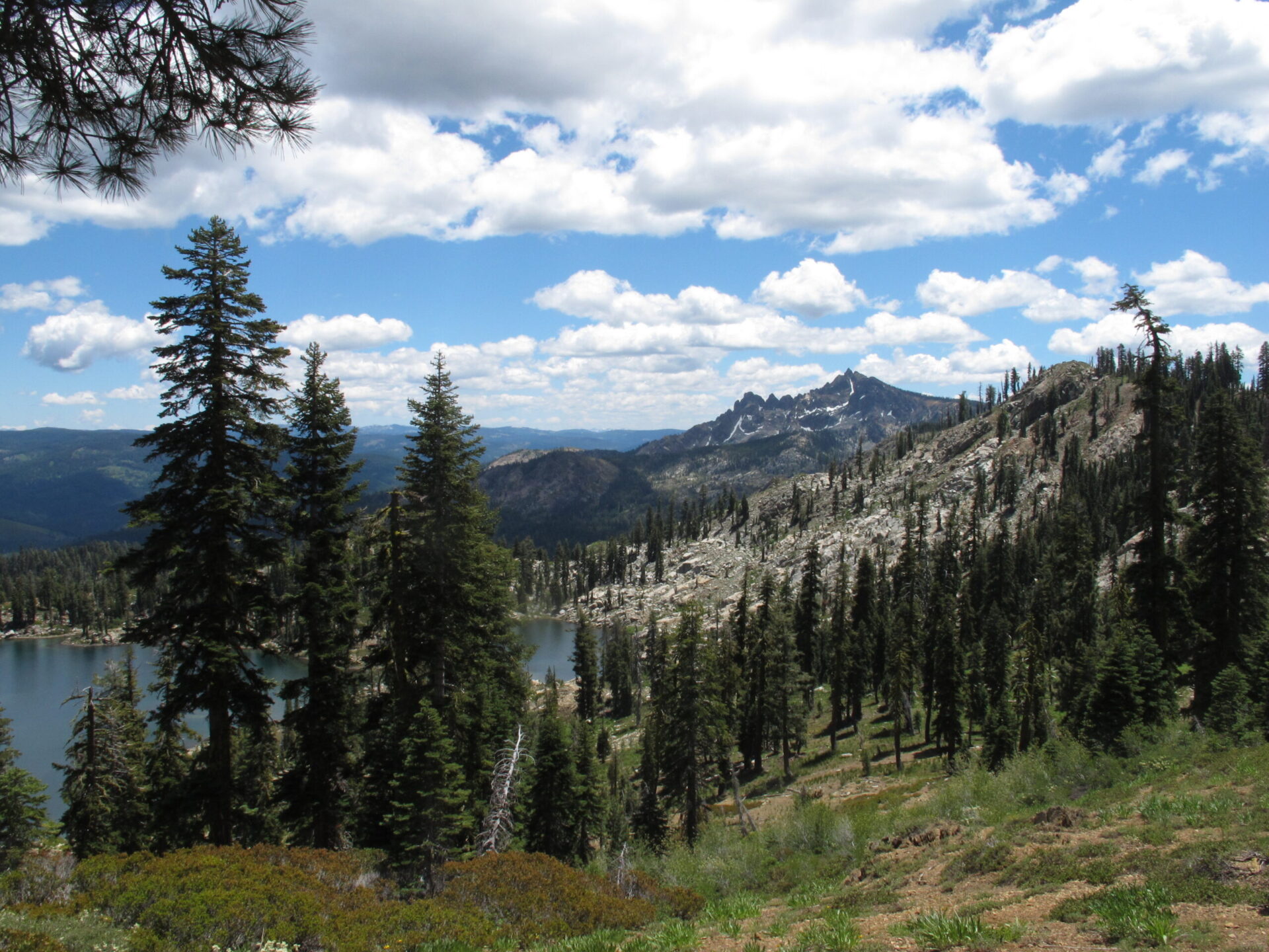 View of Sutter Buttes from the PCT, facing south (Photo by Hank Meals)