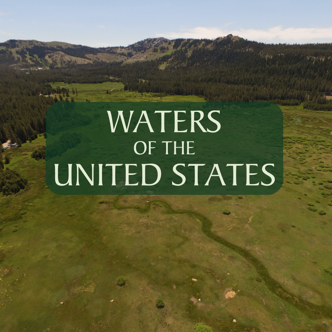 Waters of the United States